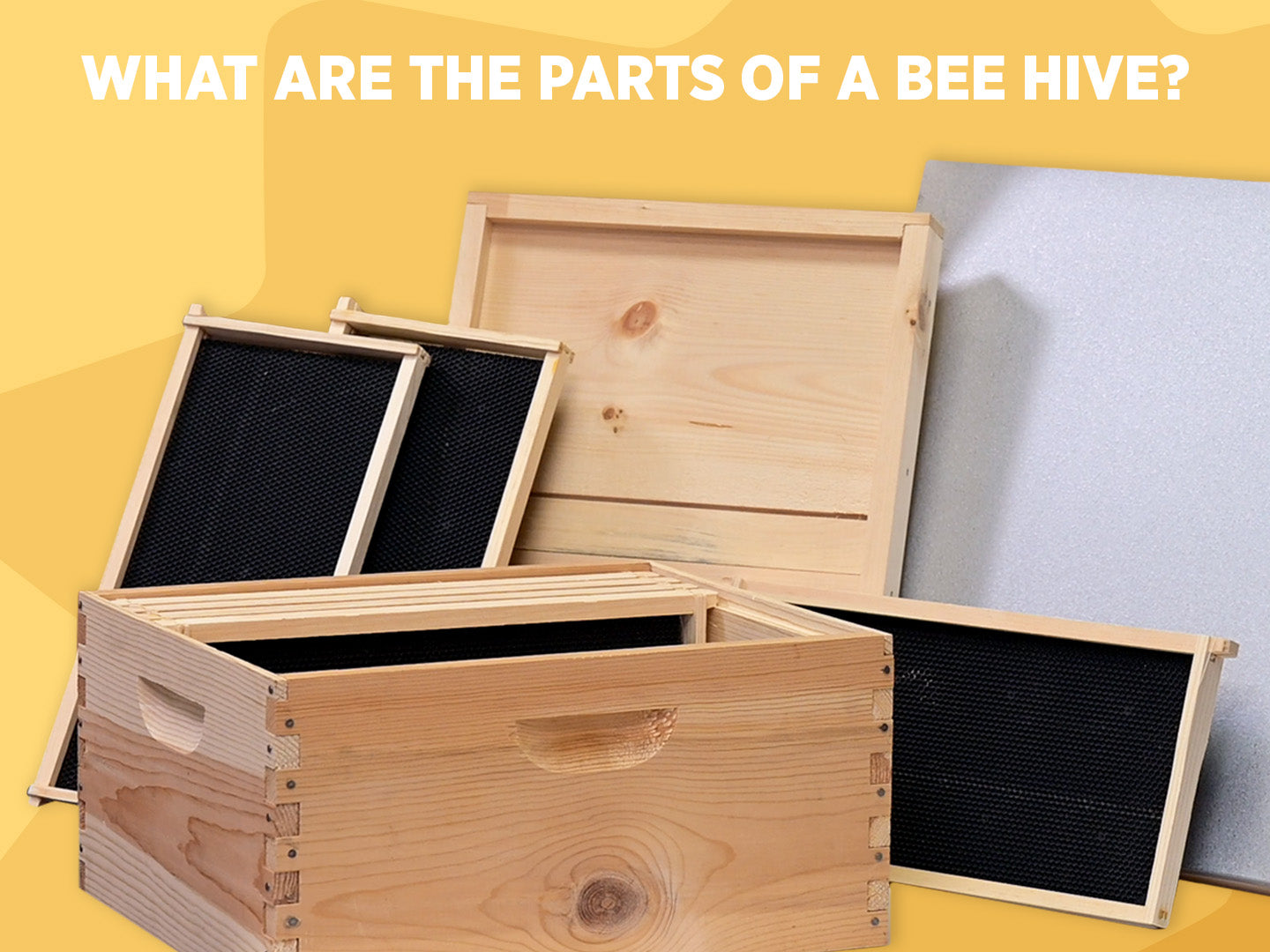 What Are the Parts of a Bee Hive?
