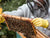 Why Should I Take a Beekeeping Course?