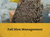 fall hive management and honey bees