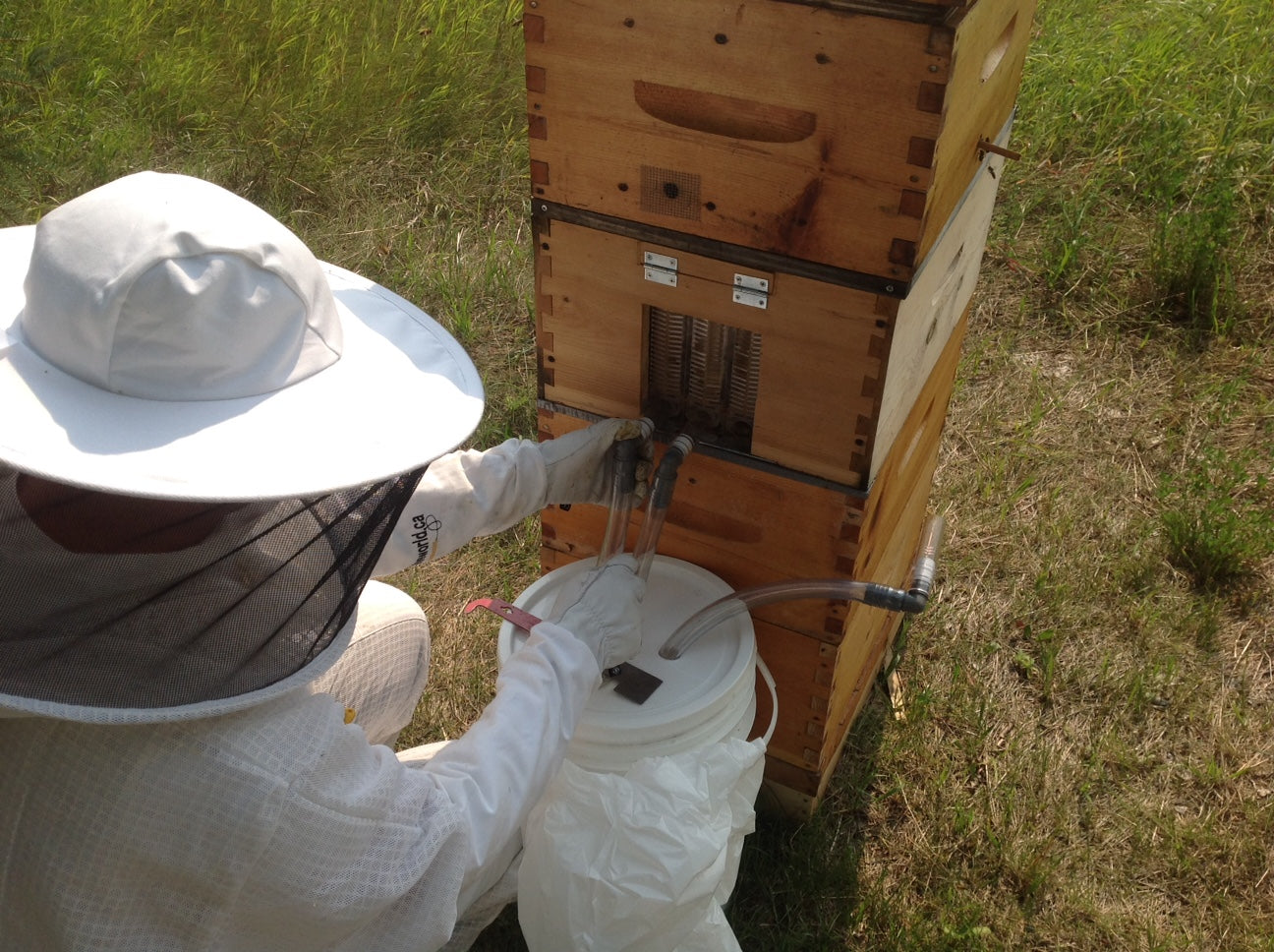 Removing auto-extract and comb honey from your hive