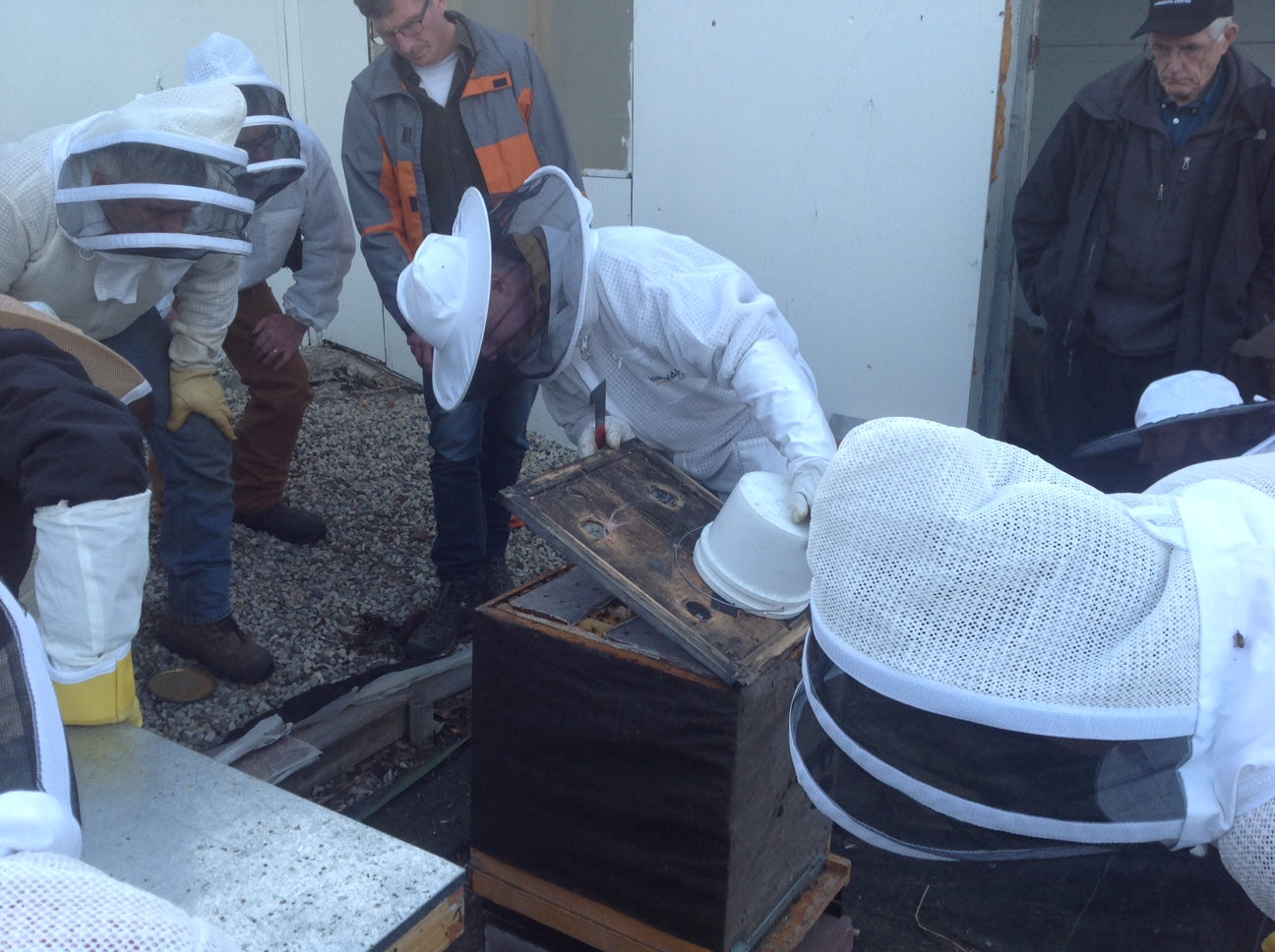 Practical sessions help beginner and experienced beekeepers