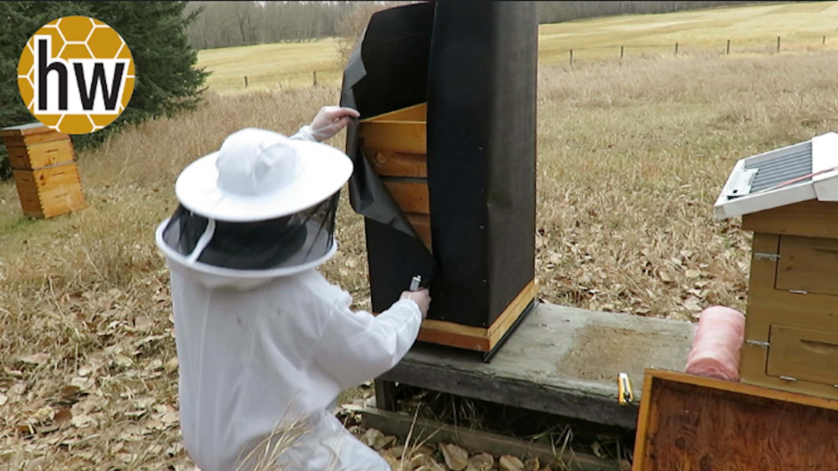 Overwintering: Which way do you wrap or insulate your hives?