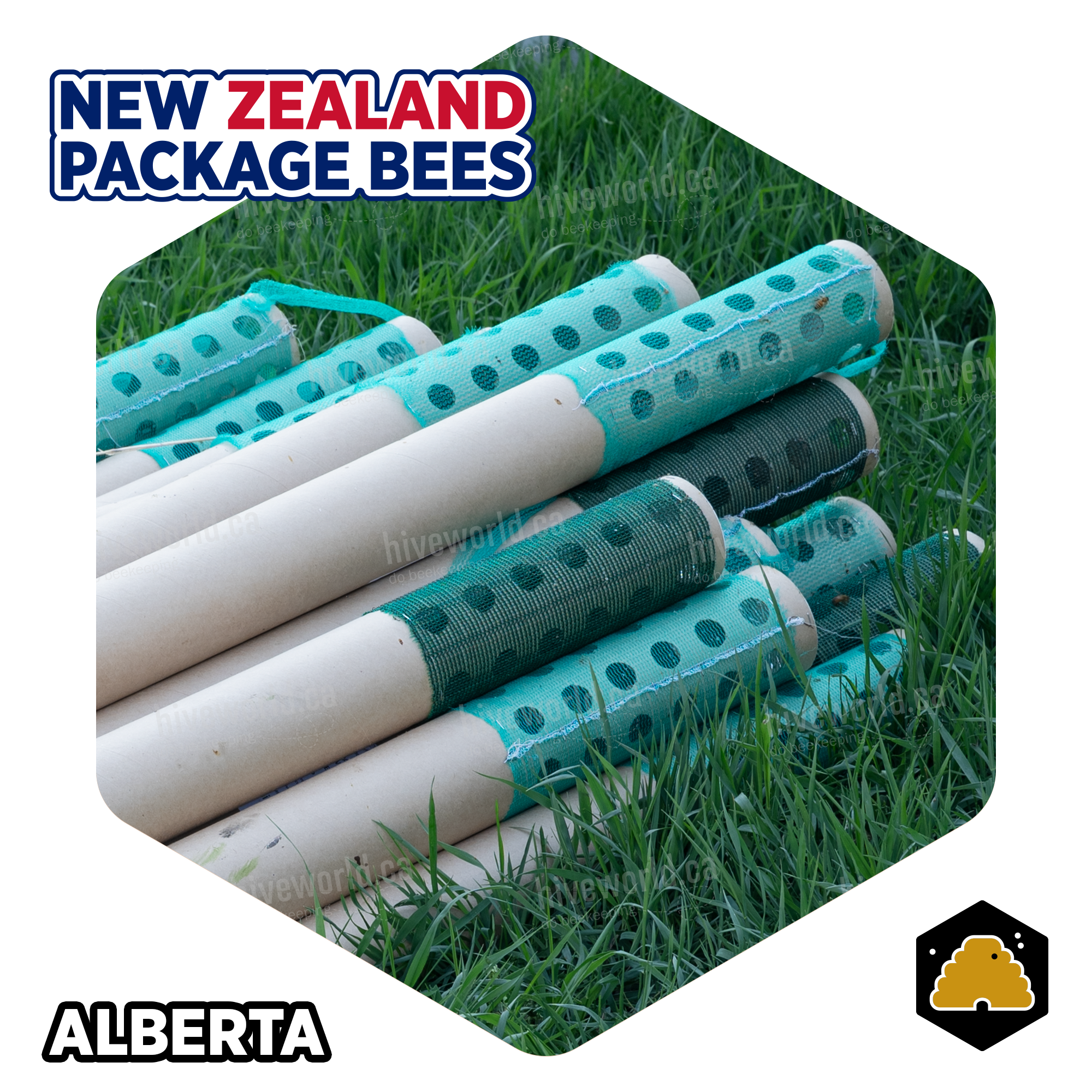2024 1KG New Zealand Live Bee Packages  - Alberta