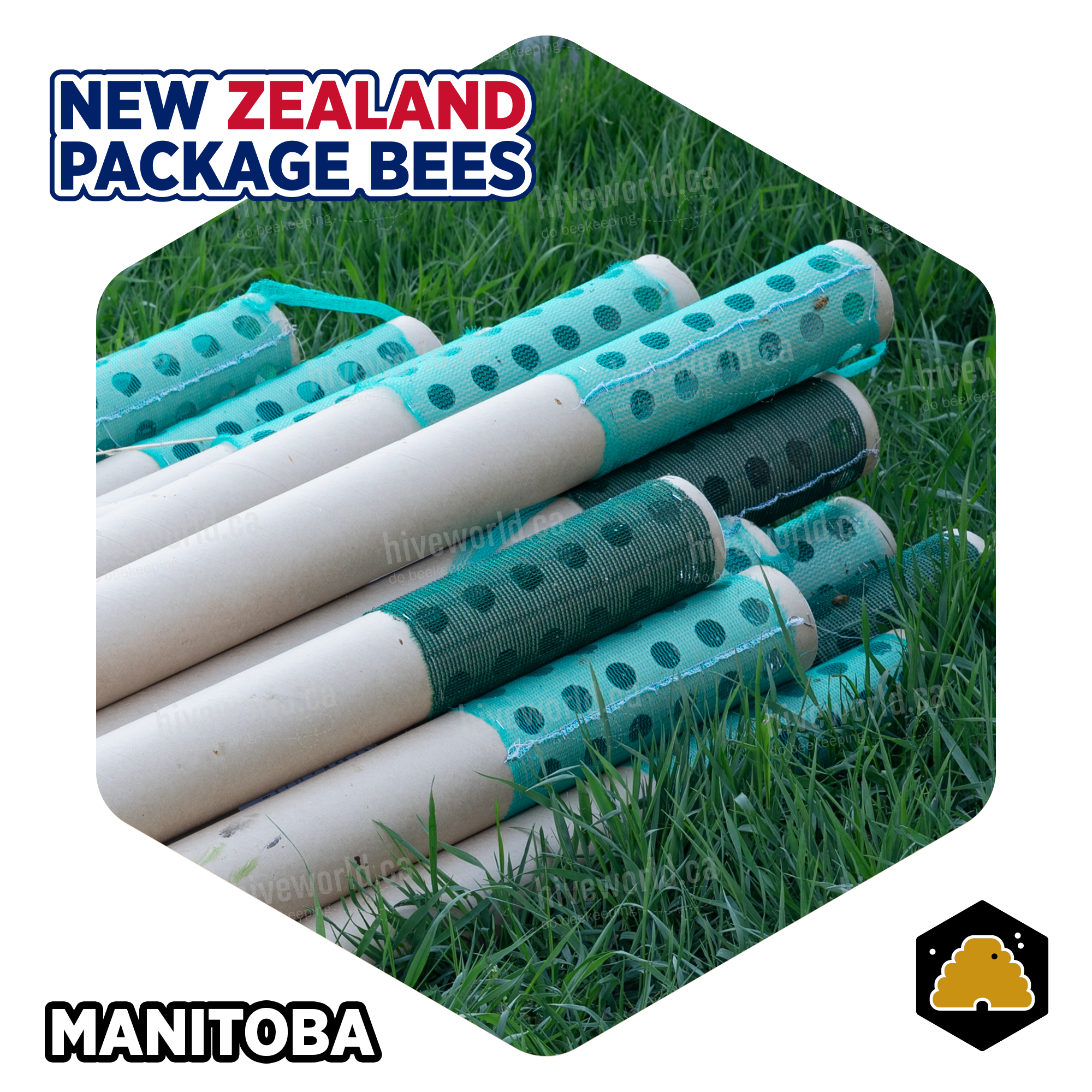 2024 1KG New Zealand Live Bee Packages  - Manitoba