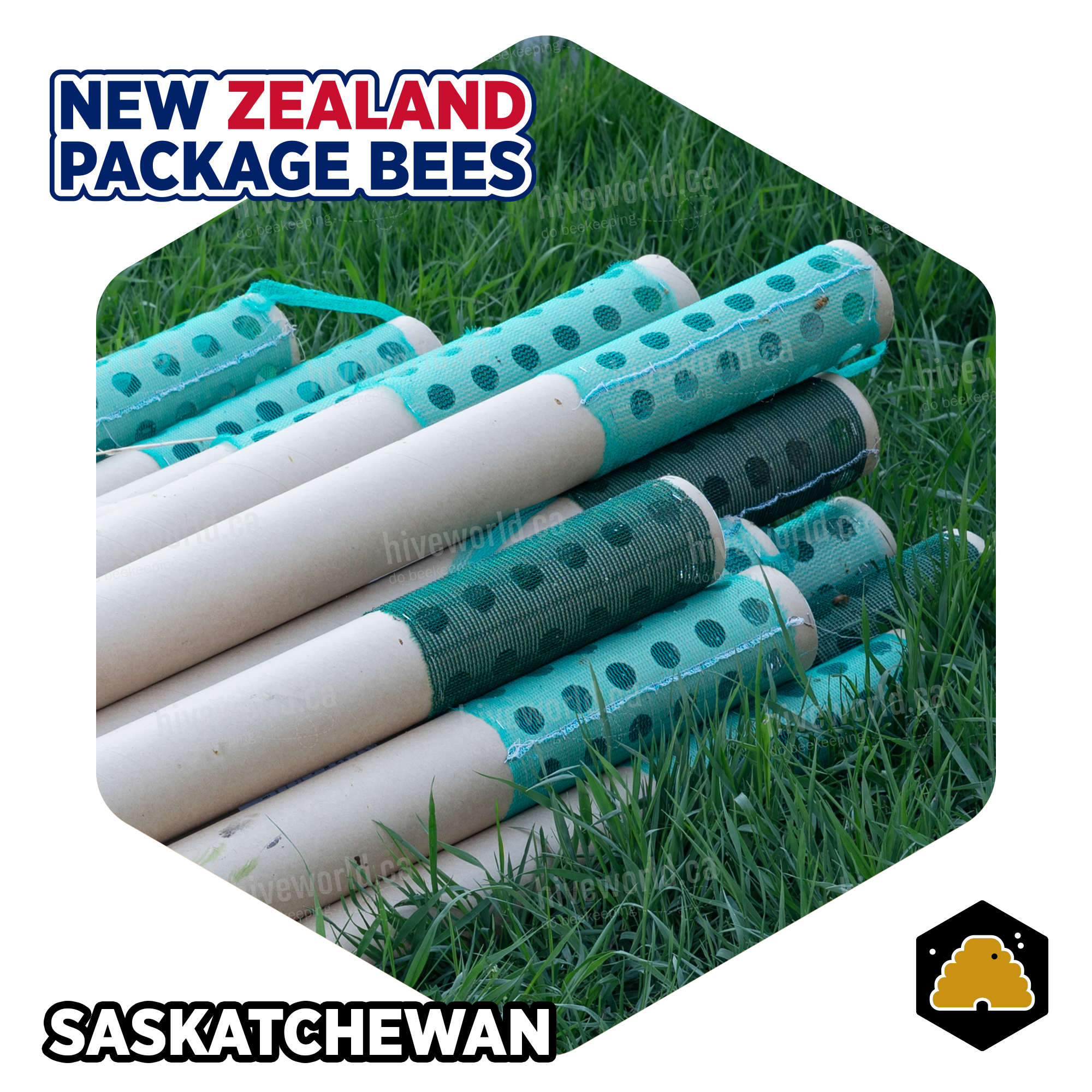 2024 1KG New Zealand Live Bee Packages  - Saskatchewan