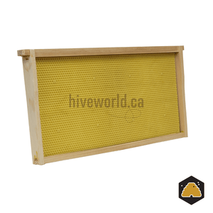 HiveWorld Assembled Waxed Fir Hive Frames with Canacell Foundation